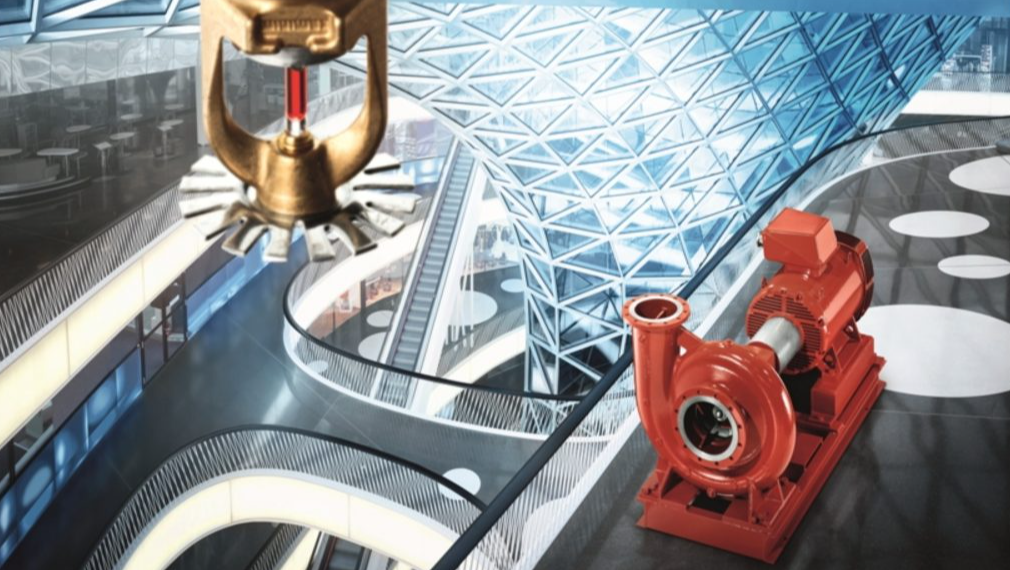 1684583131876.jpg 1684583131876.jpg